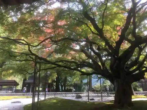 千如寺大悲王院の庭園