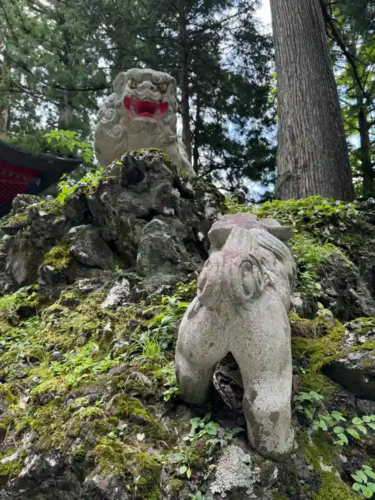 富士山東口本宮 冨士浅間神社の狛犬
