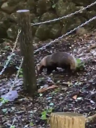 来迎院(奈良県)