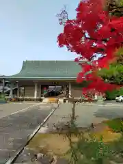 桜井寺(奈良県)