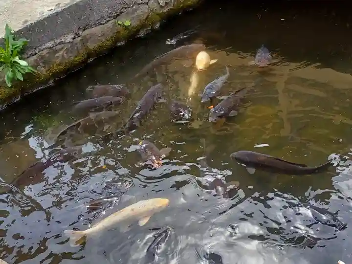 善知鳥神社(青森県)