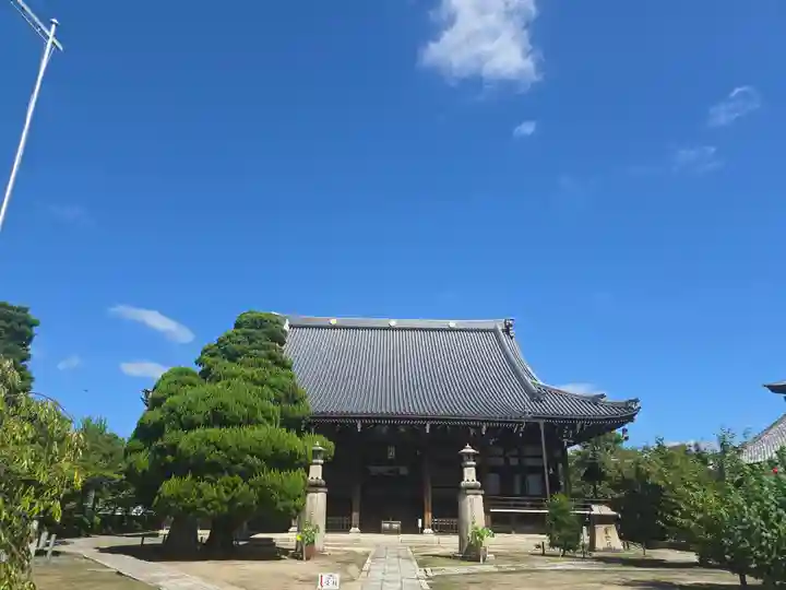 妙顯寺(妙顕寺)(京都府)
