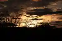 阿久津「田村神社」(郡山市阿久津町)旧社名:伊豆箱根三嶋三社の景色