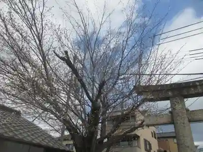 石坐神社(滋賀県)