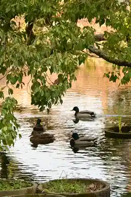 香椎宮(福岡県)