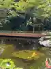 愛宕神社の{uncategorized: "未分類", other: "その他", undefined: "問題あり", building: "その他建物", grave: "お墓", sacred_gate: "鳥居", guardian: "狛犬", statue: "像", buddha: "仏像", history: "歴史", nature: "自然", garden: "庭園", animal: "動物", pagoda: "塔", temizu: "手水舎", mountain_gate: "山門・神門", sanctuary: "本殿・本堂", subordinate: "末社・摂社", art: "芸術", scenery: "景色", jizo: "地蔵", ema: "絵馬", goshuin: "御朱印", omikuji: "おみくじ", items: "授与品その他", amulet: "お守り", goshuincho: "御朱印帳", eats: "食事", festival: "お祭り", votive_dance: "神楽", shichigosan: "七五三参", wedding: "結婚式", experience: "体験その他", initially: "初詣", around: "周辺", anti_infection: "感染症対策"}