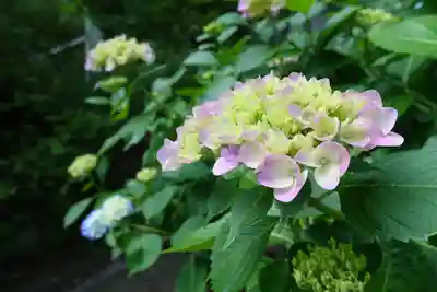 南法華寺（壷阪寺）(奈良県)
