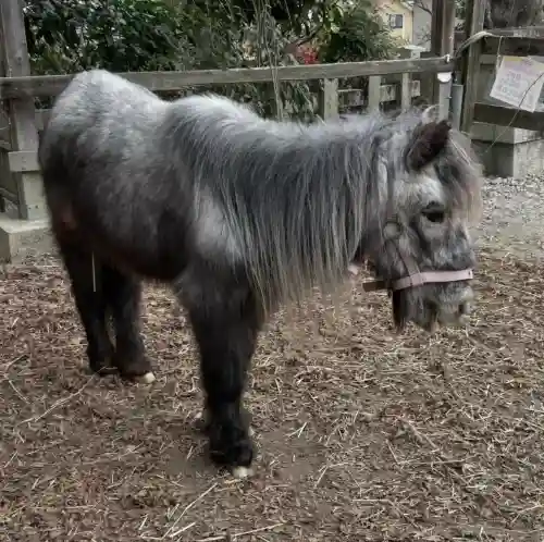 大石神社の{uncategorized: "未分類", other: "その他", undefined: "問題あり", building: "その他建物", grave: "お墓", sacred_gate: "鳥居", guardian: "狛犬", statue: "像", buddha: "仏像", history: "歴史", nature: "自然", garden: "庭園", animal: "動物", pagoda: "塔", temizu: "手水舎", mountain_gate: "山門・神門", sanctuary: "本殿・本堂", subordinate: "末社・摂社", art: "芸術", scenery: "景色", jizo: "地蔵", ema: "絵馬", goshuin: "御朱印", omikuji: "おみくじ", items: "授与品その他", amulet: "お守り", goshuincho: "御朱印帳", eats: "食事", festival: "お祭り", votive_dance: "神楽", shichigosan: "七五三参", wedding: "結婚式", experience: "体験その他", initially: "初詣", around: "周辺", anti_infection: "感染症対策"}