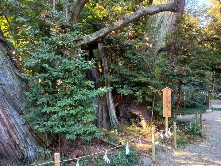 香取神宮の{uncategorized: "未分類", other: "その他", undefined: "問題あり", building: "その他建物", grave: "お墓", sacred_gate: "鳥居", guardian: "狛犬", statue: "像", buddha: "仏像", history: "歴史", nature: "自然", garden: "庭園", animal: "動物", pagoda: "塔", temizu: "手水舎", mountain_gate: "山門・神門", sanctuary: "本殿・本堂", subordinate: "末社・摂社", art: "芸術", scenery: "景色", jizo: "地蔵", ema: "絵馬", goshuin: "御朱印", omikuji: "おみくじ", items: "授与品その他", amulet: "お守り", goshuincho: "御朱印帳", eats: "食事", festival: "お祭り", votive_dance: "神楽", shichigosan: "七五三参", wedding: "結婚式", experience: "体験その他", initially: "初詣", around: "周辺", anti_infection: "感染症対策"}