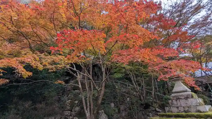 勝持寺(花の寺)(京都府)