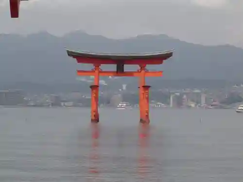 厳島神社の鳥居