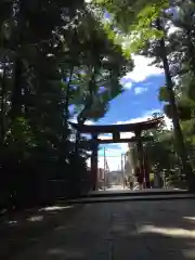 彌彦神社の鳥居