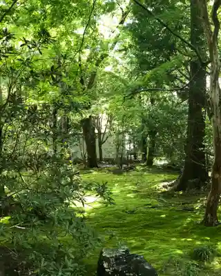 蓮華寺（洛北蓮華寺）のその他建物