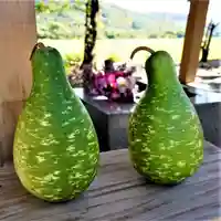 高司神社〜むすびの神の鎮まる社〜の手水舎