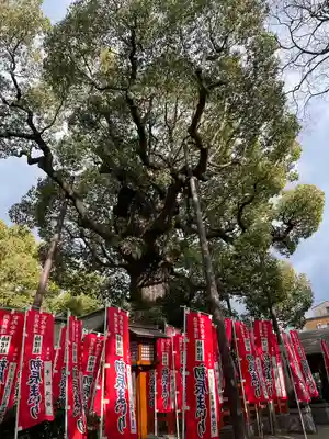 楠珺社（住吉大社末社）(大阪府)