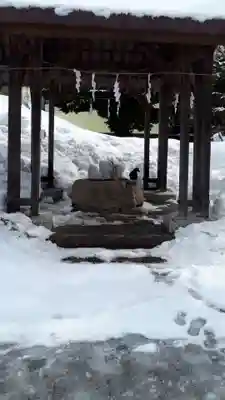 札幌村神社の手水舎