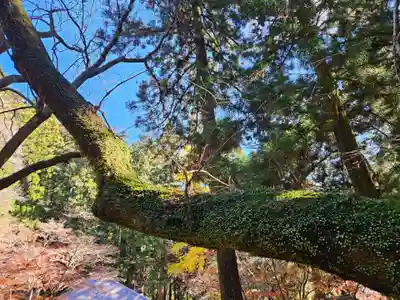 室生寺(奈良県)