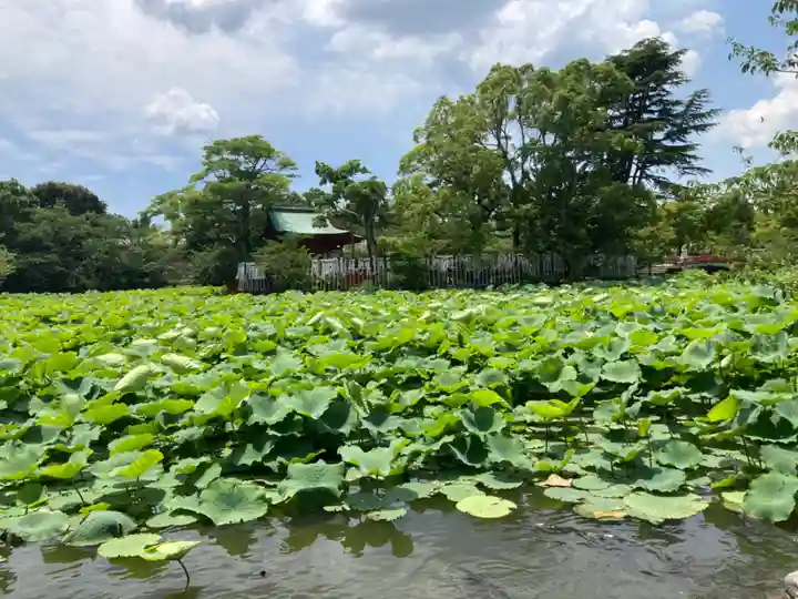 鶴岡八幡宮(神奈川県)