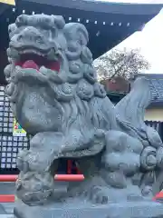 白幡八幡大神の狛犬