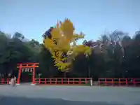 賀茂別雷神社(上賀茂神社)(京都府)