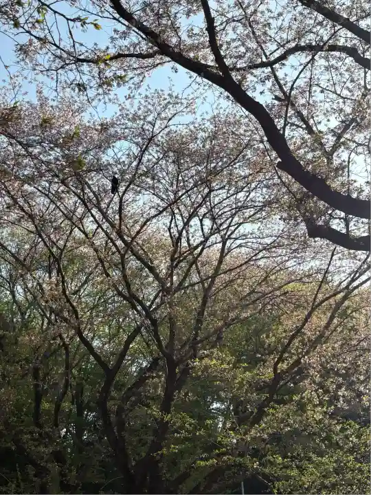 東蕗田天満社(茨城県)