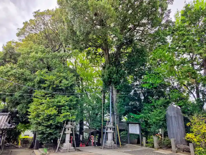 牟礼神明社(東京都)