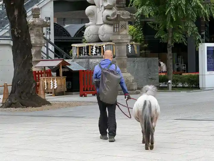 神田神社(神田明神)の{uncategorized: "未分類", other: "その他", undefined: "問題あり", building: "その他建物", grave: "お墓", sacred_gate: "鳥居", guardian: "狛犬", statue: "像", buddha: "仏像", history: "歴史", nature: "自然", garden: "庭園", animal: "動物", pagoda: "塔", temizu: "手水舎", mountain_gate: "山門・神門", sanctuary: "本殿・本堂", subordinate: "末社・摂社", art: "芸術", scenery: "景色", jizo: "地蔵", ema: "絵馬", goshuin: "御朱印", omikuji: "おみくじ", items: "授与品その他", amulet: "お守り", goshuincho: "御朱印帳", eats: "食事", festival: "お祭り", votive_dance: "神楽", shichigosan: "七五三参", wedding: "結婚式", experience: "体験その他", initially: "初詣", around: "周辺", anti_infection: "感染症対策"}