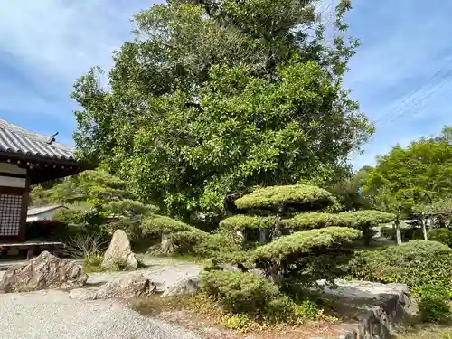 印空寺(京都府)