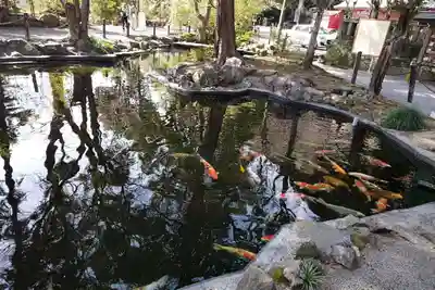 伊豆山神社(静岡県)