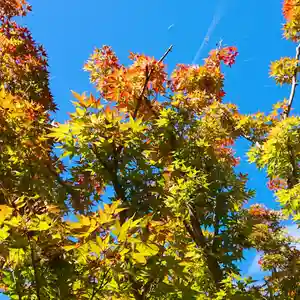 寿量山 速成寺の自然(2019年10月19日(土) 16時16分06秒投稿)