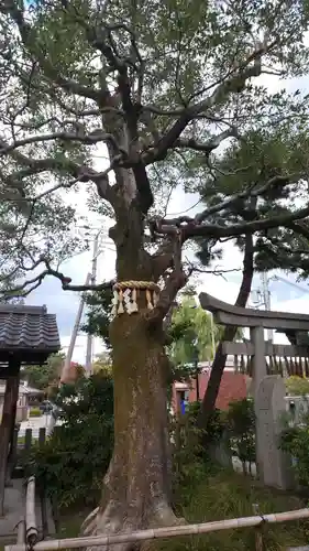 出町妙音堂の自然