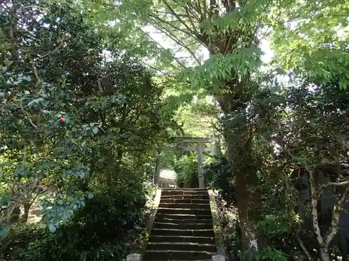 利川神社の建物その他