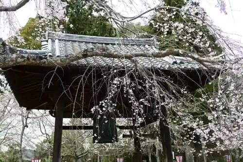 醍醐寺(京都府)