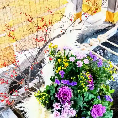 彌彦神社　(伊夜日子神社)の手水舎