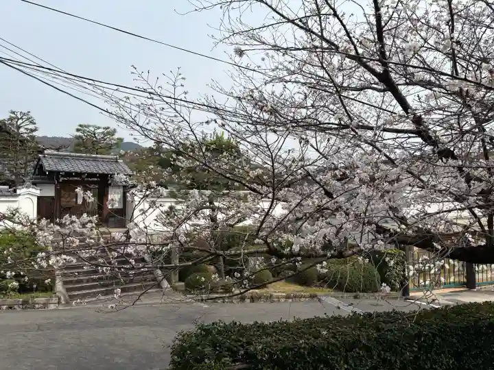 くろ谷 金戒光明寺の{uncategorized: "未分類", other: "その他", undefined: "問題あり", building: "その他建物", grave: "お墓", sacred_gate: "鳥居", guardian: "狛犬", statue: "像", buddha: "仏像", history: "歴史", nature: "自然", garden: "庭園", animal: "動物", pagoda: "塔", temizu: "手水舎", mountain_gate: "山門・神門", sanctuary: "本殿・本堂", subordinate: "末社・摂社", art: "芸術", scenery: "景色", jizo: "地蔵", ema: "絵馬", goshuin: "御朱印", omikuji: "おみくじ", items: "授与品その他", amulet: "お守り", goshuincho: "御朱印帳", eats: "食事", festival: "お祭り", votive_dance: "神楽", shichigosan: "七五三参", wedding: "結婚式", experience: "体験その他", initially: "初詣", around: "周辺", anti_infection: "感染症対策"}