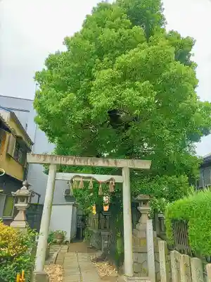 横田神社の鳥居