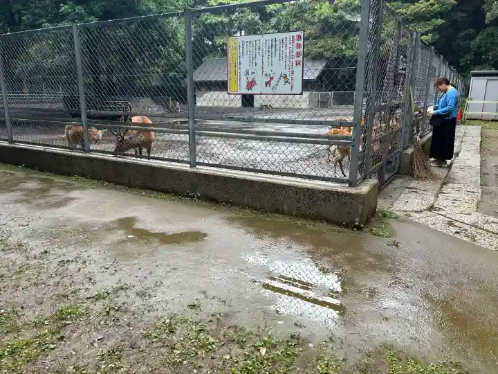 鹿島神宮(茨城県)