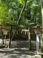 椿大神社の鳥居