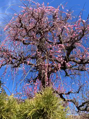 法蓮寺(神奈川県)