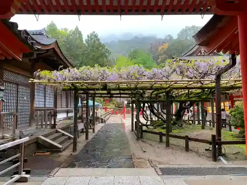 春日大社の庭園