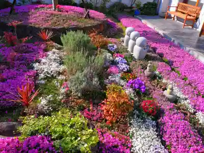 寿量山 速成寺(奈良県)