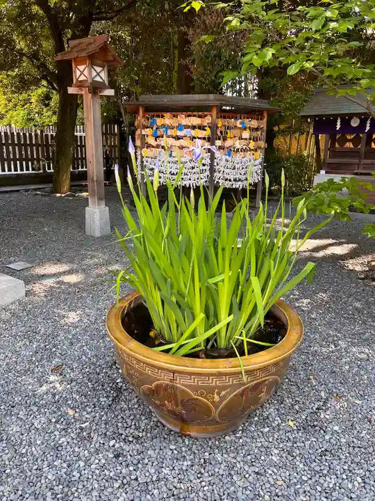 阿佐ヶ谷神明宮(東京都)