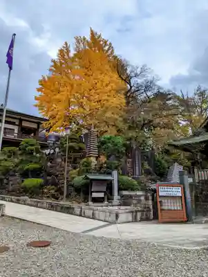 成田山新勝寺(千葉県)