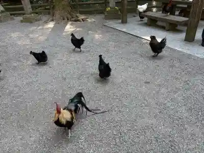 石上神宮(奈良県)