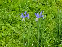 無量寺(和歌山県)