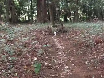 阿弥神社の末社・摂社