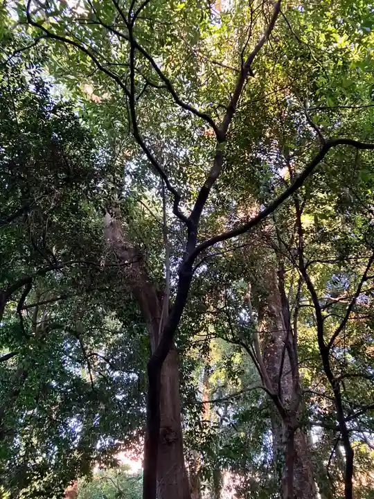 布多天神社(東京都)