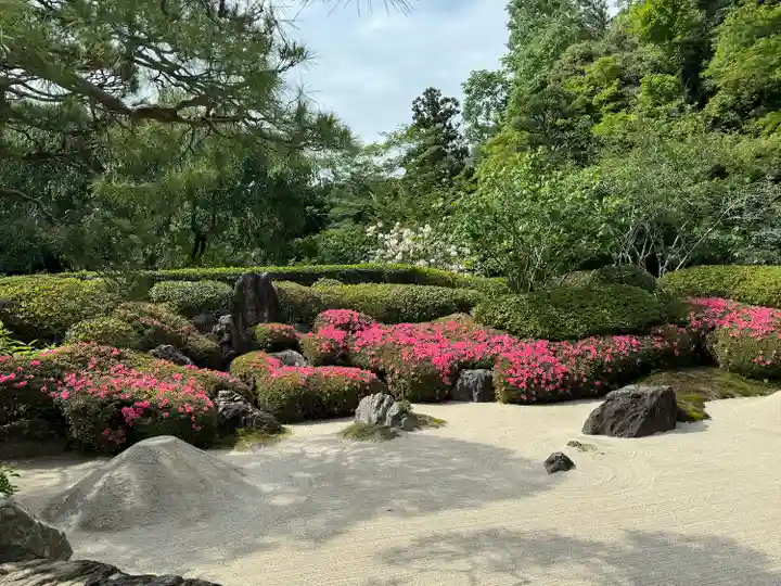 明月院(神奈川県)