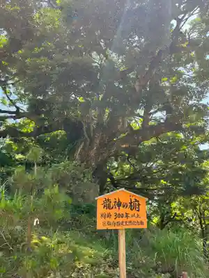 成相寺(京都府)