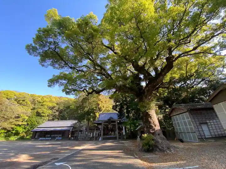 日和佐八幡神社(徳島県)
